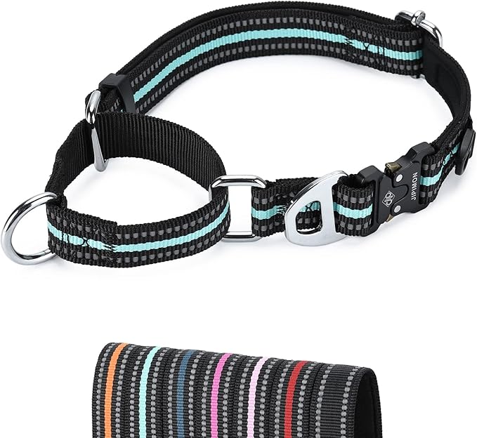 Martingale Dog Collar Reflective Nylon Soft Cushion with Alloy Buckle Dog Collar Martingale Small Medium and Large Dogs (Small, Teal)