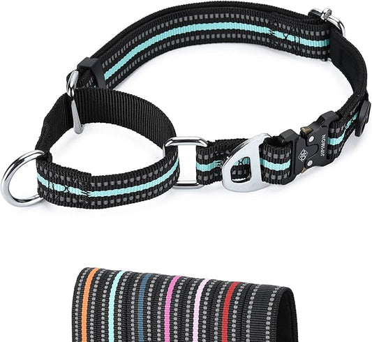Martingale Dog Collar Reflective Nylon Soft Cushion with Alloy Buckle Dog Collar Martingale Small Medium and Large Dogs (Medium, Teal)