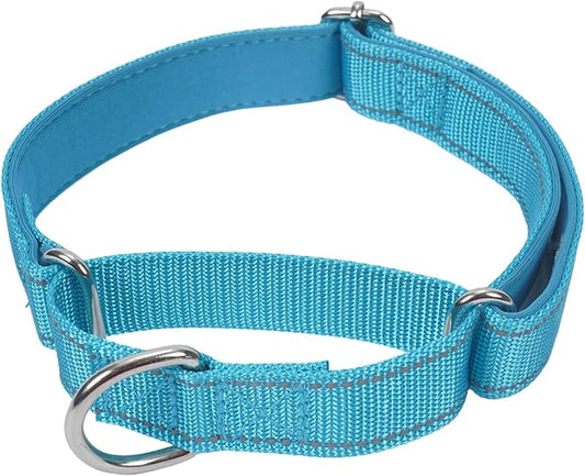 SGODA Martingale Dog Collar, Reflective Nylon Padded Dog Training Collars for Small Dogs, Blue S