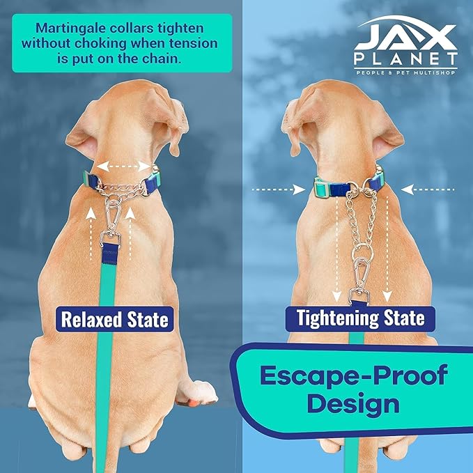 Jelly Waterproof Martingale Dog Collar, No Pull Nylon Collar with Alloy Metal Buckle & D-Ring for Outdoor Training and Walking, Anti Pull, Escape Free, One Time Adjustment - Turquoise & Blue, XL