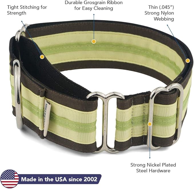 If It Barks - 1.5" Martingale Collar for Dogs - Adjustable - Nylon - Strong and Comfy - Ideal for Training - Made in USA - Medium, Key Lime Pie