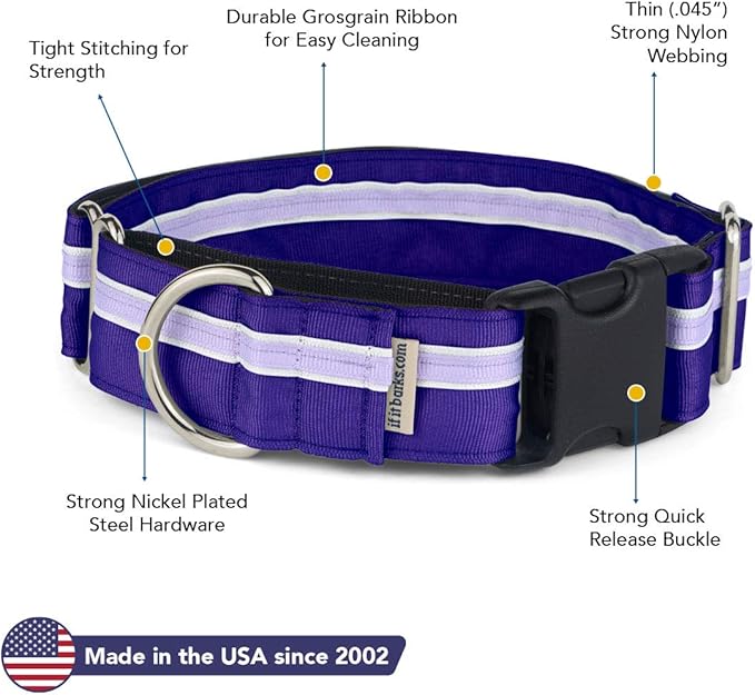 If It Barks - 1.5" Martingale Collar for Dogs - Quick Snap Release Buckle - Adjustable - Nylon - Strong and Comfy - Ideal for Training - Made in USA - Small, Grape Crush