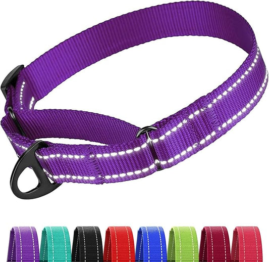 Collardirect Reflective Martingale Dog Collar Nylon Training Collars for Small Medium Large Dogs Puppy Pink Orange Green (M, Neck Size 13"-18", Purple)