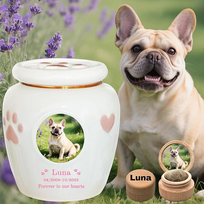 Personalized Pet Urn,Pet Urns for Dogs Cats,Pet Cremation Urn,Urns for Pet Ashes,Ceramic Urn,Dog cat Bird Rabbit urn,pet Loss, Handmade Custom. (Medium,Suitable Ashes ≤44 lb (not Bones))