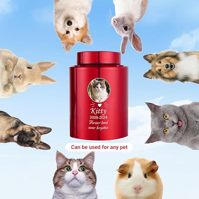 Custom Urns for Dogs and Cats Ashes Personalized Pet Urn with Name and Photo Pet Cremation Memorial Urn for Loss of Dog or Cats Engraved Pet Funeral Urns (Beards)