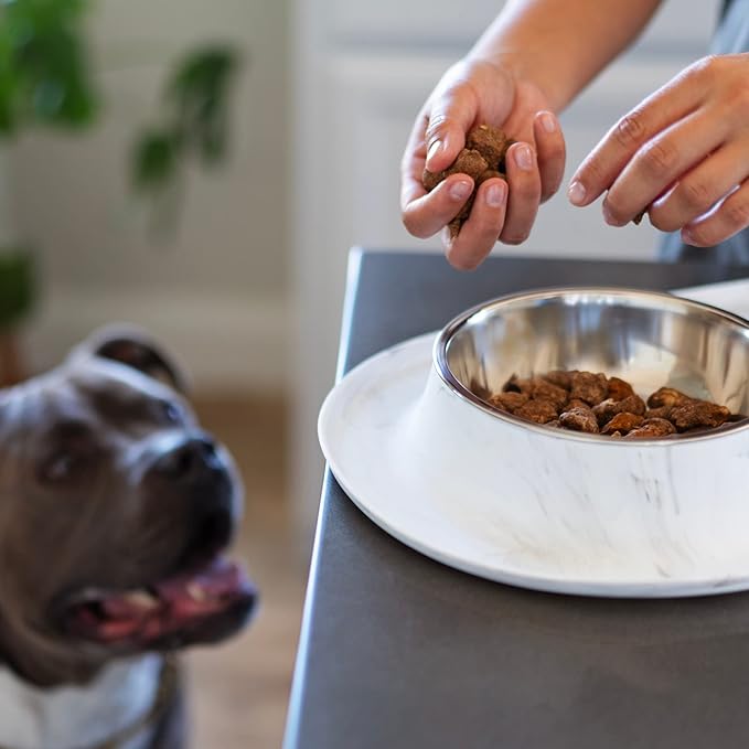Messy Mutts Double Silicone Feeder with Stainless Bowls | Non-Skid Food Dishes for Dogs for All Pets | Dog Food Bowls | Medium, 1.5 Cups Per Bowl | Marble