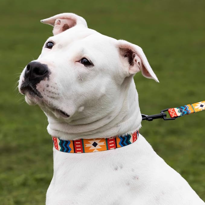 CollarDirect Aztec Martingale Collars for Dogs Heavy Duty Tribal Pattern Safety Nylon Training Collar Large Medium Small (Sunny Tidal, XL, Neck Size 19"-24")