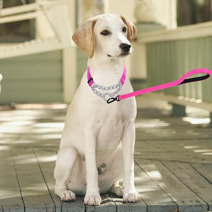 Martingale Dog Collar with Stainless Steel Chain and Leash Set, Martingale Collar with Reflective, 5FT Double Handle Dog Leash Padded, Adjustable for Medium Large Dogs (Hot Pink, L)