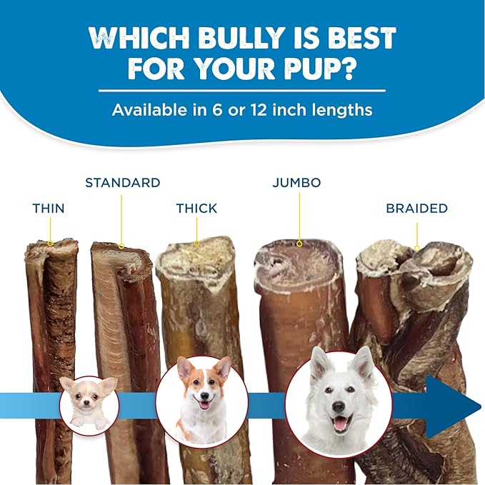 Best Bully Sticks 6 Inch Bully Sticks for Dogs - 5 Count (Pack of 1) - Natural, Easily Digestible, Grass-Fed Beef, Grain and Rawhide Free - Trial Size