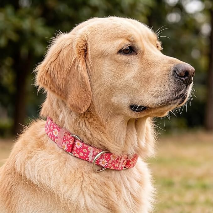 Red Martingale Collars for Dogs, Daisy Print No-Slip Escape Proof Choke No Pull Soft Nylon Training Dog Collars for Small Medium Large Breed Pet Dogs, L
