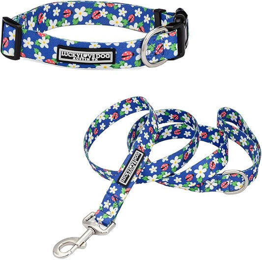 Lucky Love Dog - Easy Click Buckle Dog Collar with Leash Set Combo, Durable & Comfortable for Male & Female Dogs, Pet Collar for Small Dogs, Secure Fit - Lilian Combo, XS