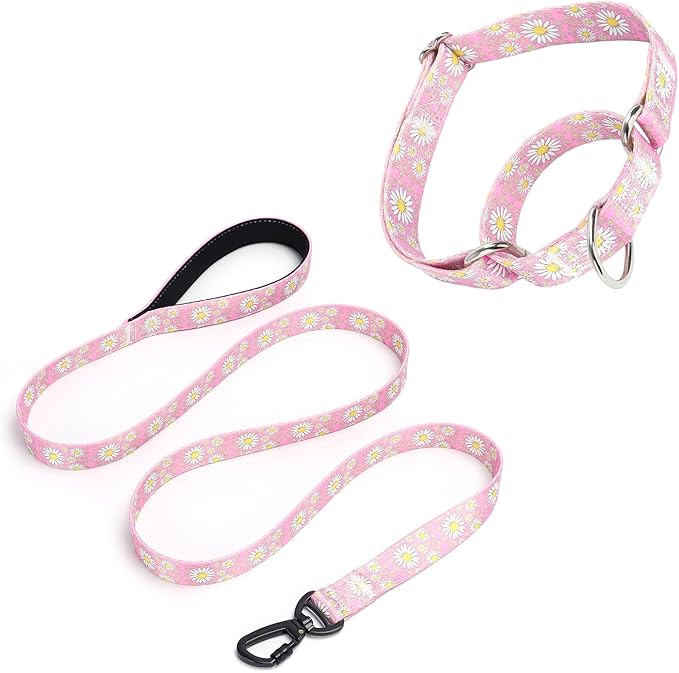 Martingale Collar for Medium Dogs, Girl Dog Collar with Daisy Flowers, Heavy Duty No Pull Dog Collar Floral Design Dog Training Collar, Perfect for Training, Walking, Hunting (Pink + Leash, M)