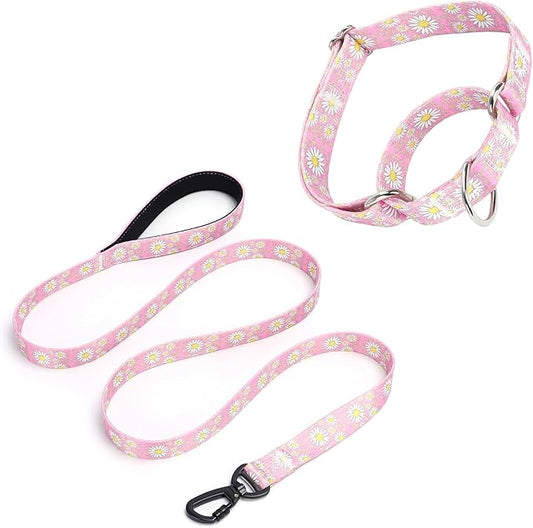 Martingale Collar for Medium Dogs, Girl Dog Collar with Daisy Flowers, Heavy Duty No Pull Dog Collar Floral Design Dog Training Collar, Perfect for Training, Walking, Hunting (Pink + Leash, L)