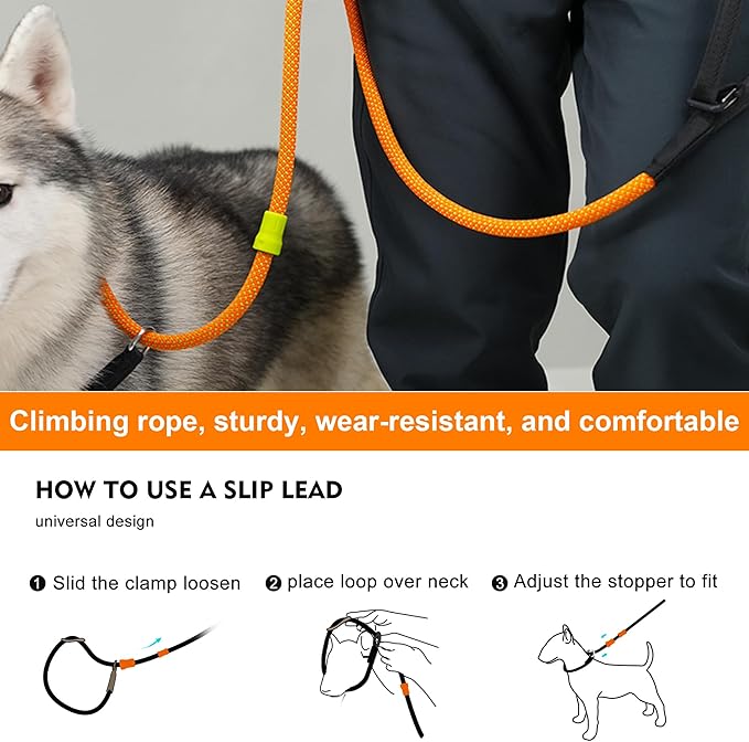 BeauGo|Slip Leads for Dogs, 2-in-1 Dog Training Rope and Collar,Sturdy and Durable,Suitable for All Dogs Training Leash (6FT Dark Green)
