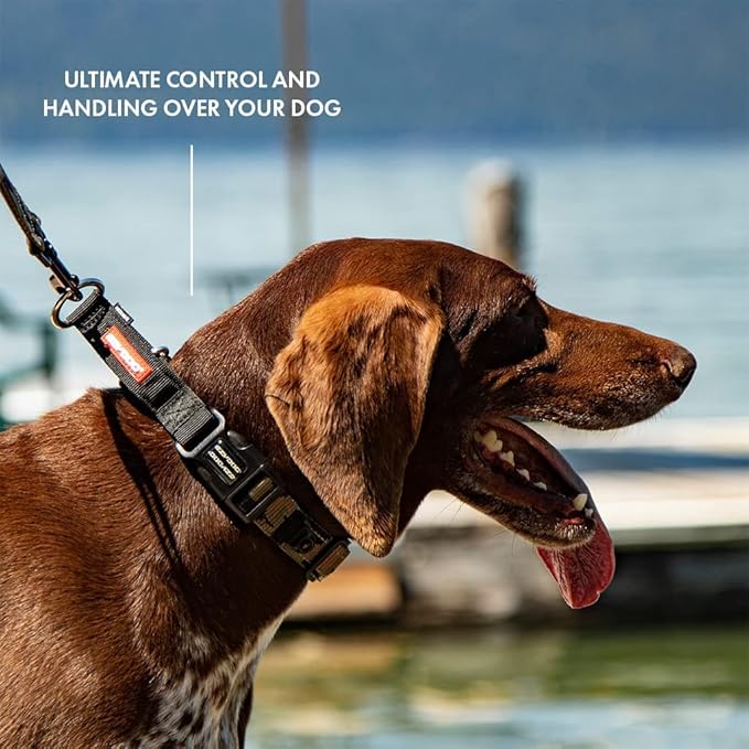 EzyDog Checkmate Martingale Collar for Dogs – Premium Nylon Training Dog Collar for Easy Control with no Choking (Small, Red)