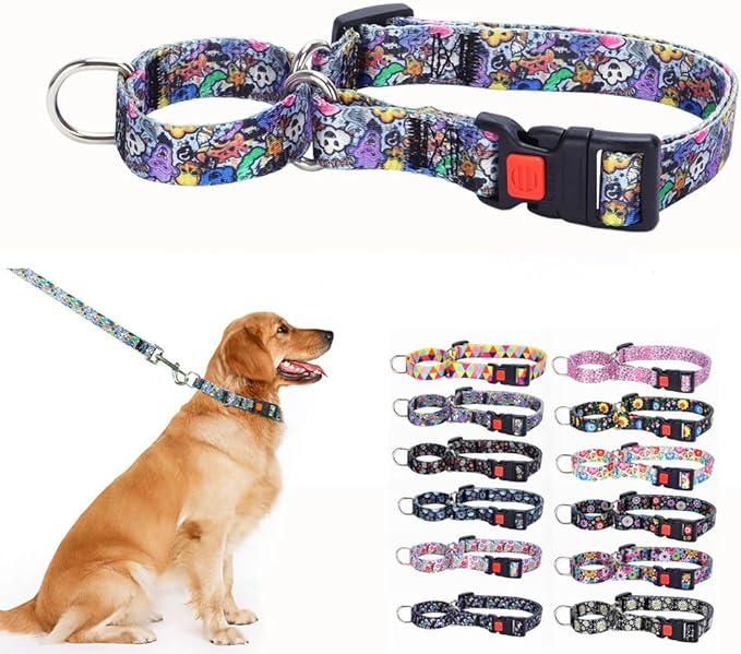 Heavy Duty Dog Collar with Buckle, No Pull Escape Proof Limited Choke Pinch Pet Martingale Collars Quick Release for Small Medium Large Breed Dogs, Funny L