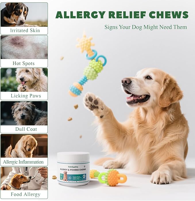 Dog Allergy Chews, Dog Allergy Relief Chews Coat Supplement for Itchy Skin Paw Licking, Probiotics for Large Dogs with Colostrum Omega-3 Turmeric Immune Supplement-200ct