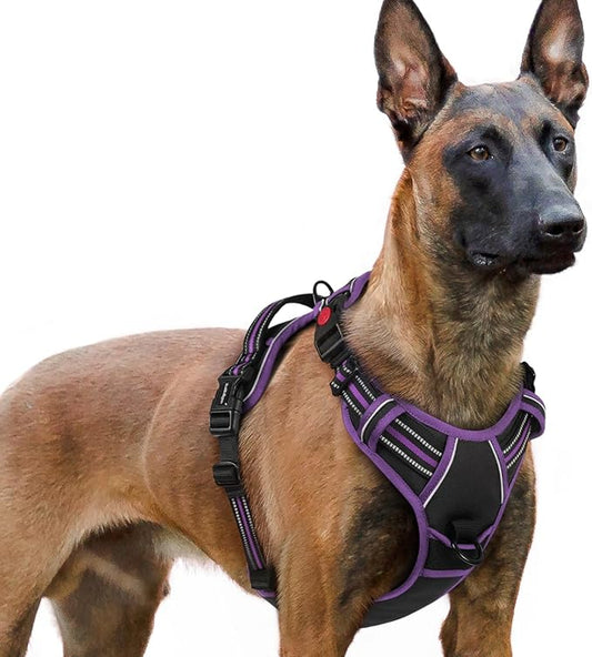 rabbitgoo Dog Harness for Large, No Pull Pet Harness with 3 Buckles, Adjustable Soft Padded Vest with Control Handle, Walking Reflective Pet Vest for Extra Large Dogs, Black & Purple, XL
