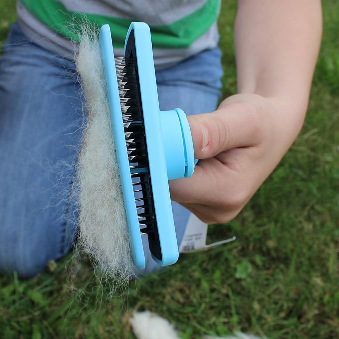 Self Cleaning Pet Slicker Brush, Blue, Large