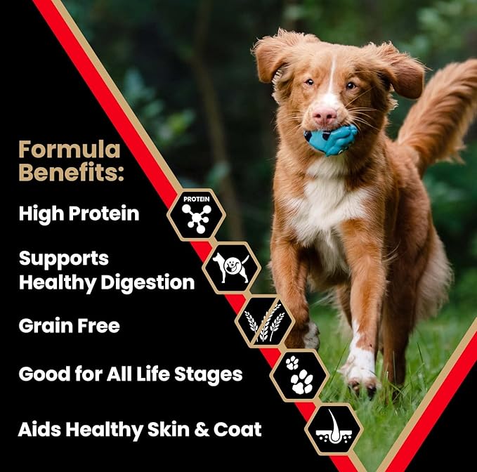VICTOR Super Premium Dog Food – High Protein Grain Free Active Dog & Puppy Kibble – Dry Food with 33% Protein, Gluten-Free - Premium Beef, Pork, Fish Meals for High Energy Dogs, 5lbs