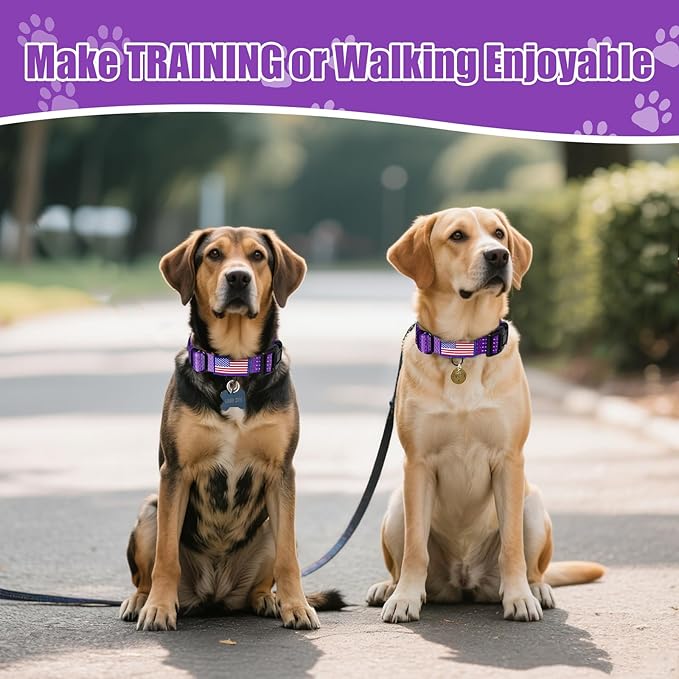 Martingale Dog Collar, Reflective No Pull Training Collar with Quick Release Buckle & USA Flag, Heavy-Duty Nylon, Adjustable for Small Medium Large Dogs (M,Purple