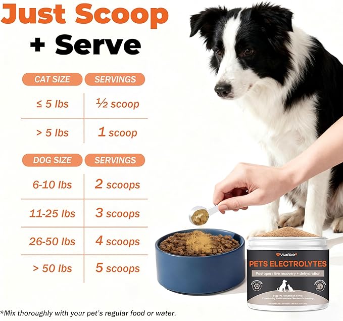 Electrolytes for Dogs – Vet-Formulated Hydration Supplement– Supports Post-Surgery & Illness Recovery– Helps Replenish Fluids & Electrolytes Lost from Diarrhea, Vomiting & Poor Appetite