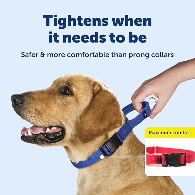 PetSafe Adjustable Martingale Collar - Improves Leash Manners - Escape Prevention - Gentle Behavior Training - Durable Nylon - Alternative to Choke Collar - Medium 3/4" - Black
