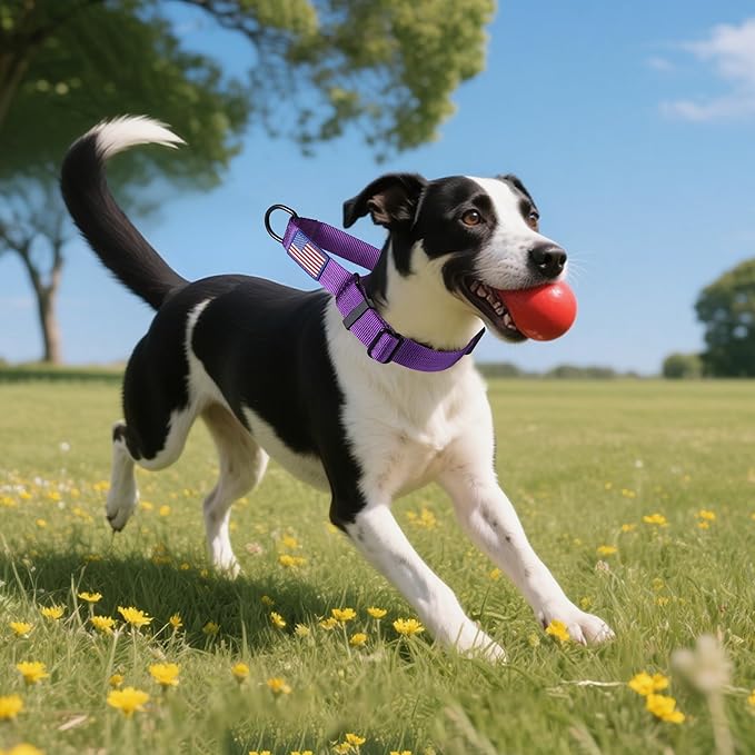 Martingale Dog Collar Quick Release Buckle No Pull Reflective Non-Slip for Medium Large Dogs Training (Purple, Large)