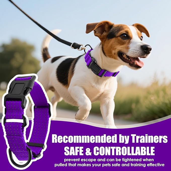 Martingale Dog Collar, Reflective No Pull Training Collar with Quick Release Buckle, Adjustable Heavy Duty Nylon Choker Collars for Small Medium Large Dogs(S,Purple)