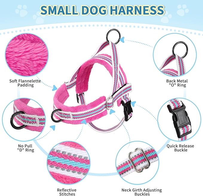 Lukovee No Pull Dog Harness and Leash Set, Soft Padded Small Dog Harness, Neck & Chest Adjustable Reflective Vest Puppy Harness with 4ft Lightweight Anti-Twist Dog Leash for Small Dogs (M, Fuschia)