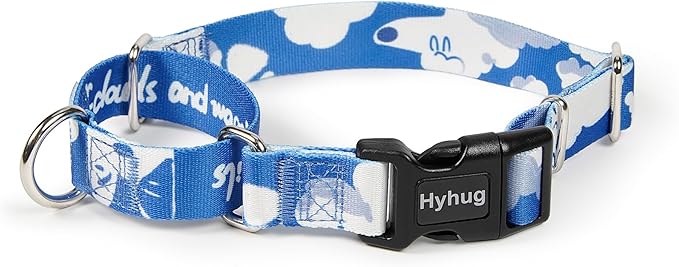Hyhug Design Pattern Martingale Collar for Small Dogs Escape - Proof| No Pull Durable for Outdoor Use, Ideal for Training & Daily Walks Small Dog Collar (Cloud Dog, XXS)