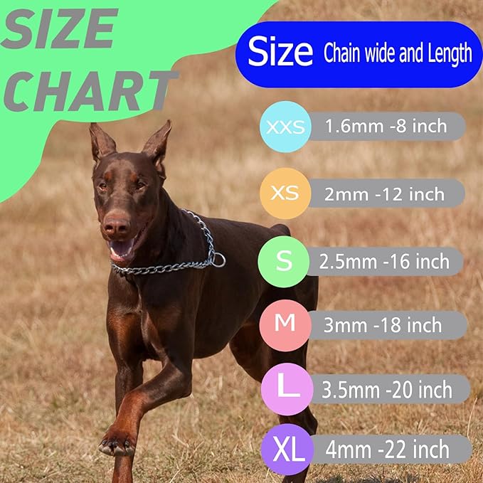 Dog Collar Slip P Chain,Heavy Duty Metal Training Martingale Collars, Adjustable Weather Proof Alloy Steel Chains for Small Medium Large Dogs(Silver, L)