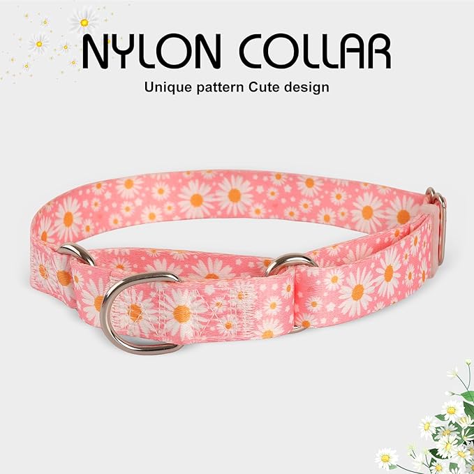 Martingale Collar for Large Dogs, Pink Daisy Martingale Collar Adjustable, No-Slip, Durable, & Soft Webbing Dog Collar for Male and Female Dogs Ideal for Training & Walking