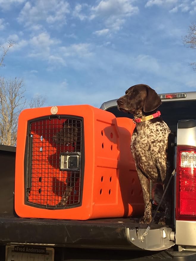 dakota283 Medium Kennel -Frame Door- Orange