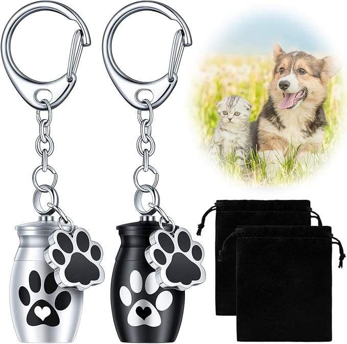 Tudomro 2 Pcs Pet Dog Urns Keychain for Ashes with 2 Storage Bags Small Cat Cremation Keepsake Jewelry Paw Print Memorial Urn