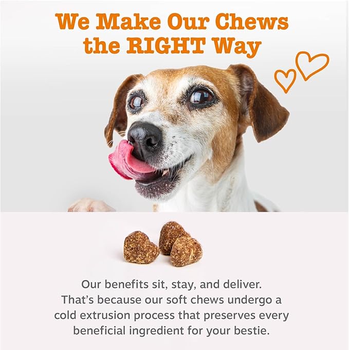 Zesty Paws Hip and Joint for Dogs, Glucosamine for Dogs Hip and Joint Supplement with Chondroitin, MSM, Vitamins C & E - Bacon, 90 Count (Pack of 2)