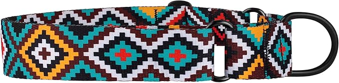 CollarDirect Aztec Martingale Collars for Dogs Heavy Duty Tribal Pattern Safety Nylon Training Collar Large Medium Small (Ethnic Teal, M, Neck Size 12"-17")