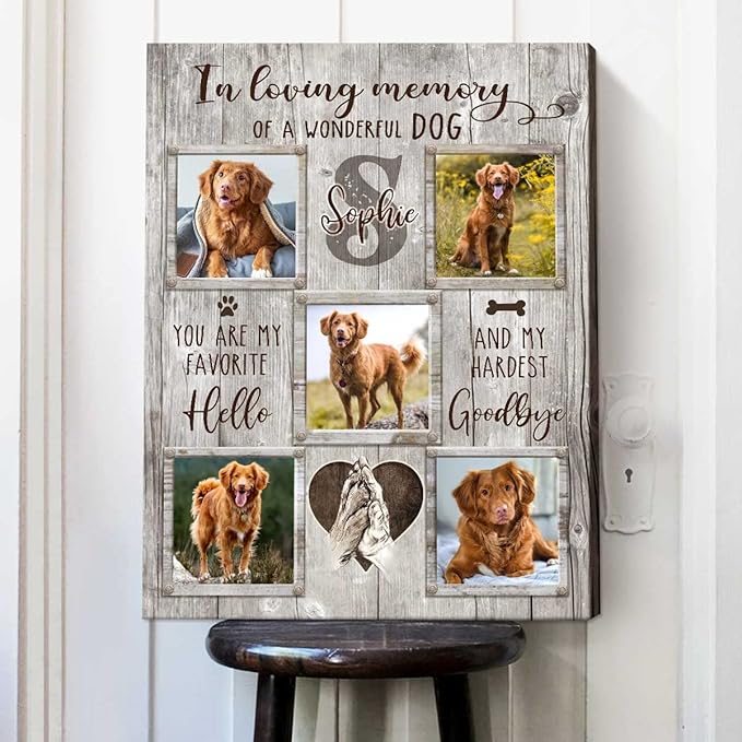 Benicee Shop In Memory Of Pet Memorial Photo Collage, Personalized Dog Loss Gift, Sympathy Gifts for Pet Lovers, Changing Colorful Background to Paint Loving Memory, Ideal Cat Mom Gifts (BG1)