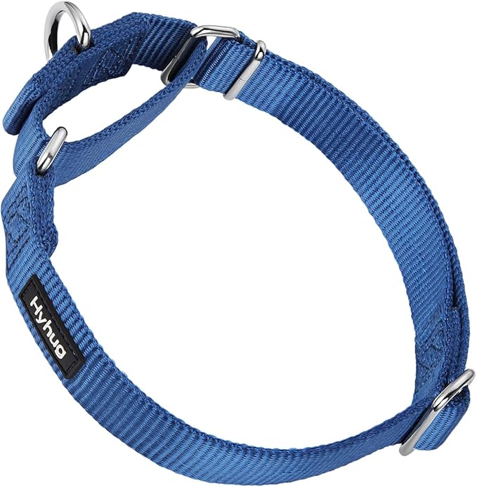 Hyhug Martingale Collar for Dogs Large Blue |Escape - Proof Heavy Duty Nylon Durable No Pull, Ideal for Training & Daily Walks