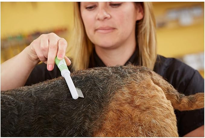 Andis 66060 Flea Comb with Durable Teeth & Comfortable Handle - Effective Stainless-Steel Teeth for Removes Tangles, Dirt & Loose Hair with Skin Protection - for Medium to Small Dogs - Green