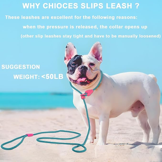Slip Leads for Dogs Puppy Leash Comfortable 5FT Heavy Duty Loop Leash No Pull Pet Training Leash 6 Colors Classic Dog Leash for Small Medium Dogs(Lake Blue)