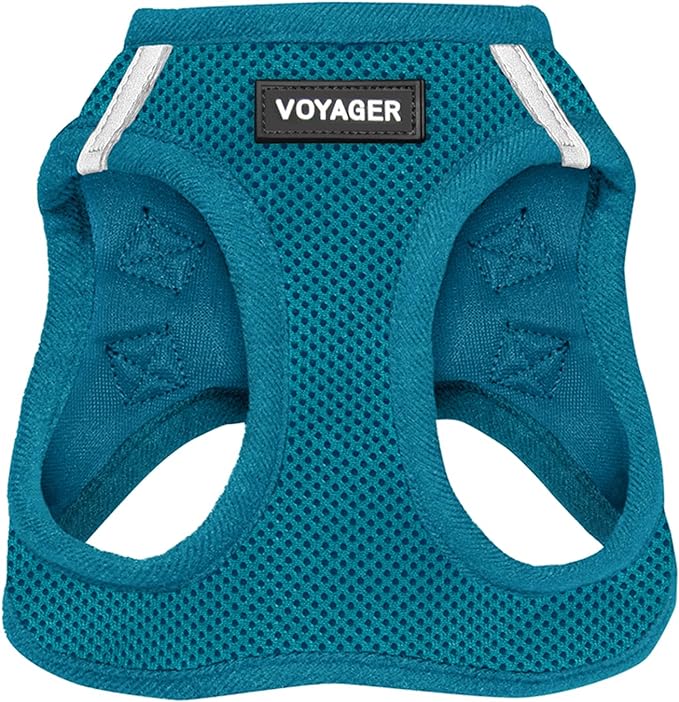 Best Pet Supplies Voyager Step-in Air Harness - All Weather Mesh, Reflective, No Pull Harness for Dogs, Cats - Secure with Hook & Loop Fastener, Buckle, Double D-Rings - Turquoise, M