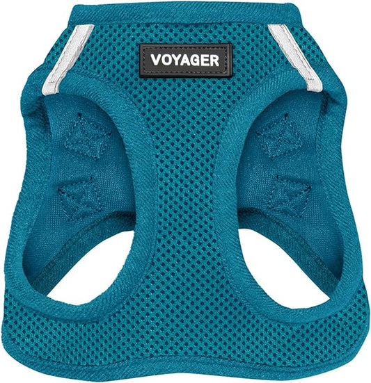 Best Pet Supplies Voyager Step-in Air Harness - All Weather Mesh, Reflective, No Pull Harness for Dogs, Cats - Secure with Hook & Loop Fastener, Buckle, Double D-Rings - Turquoise, S