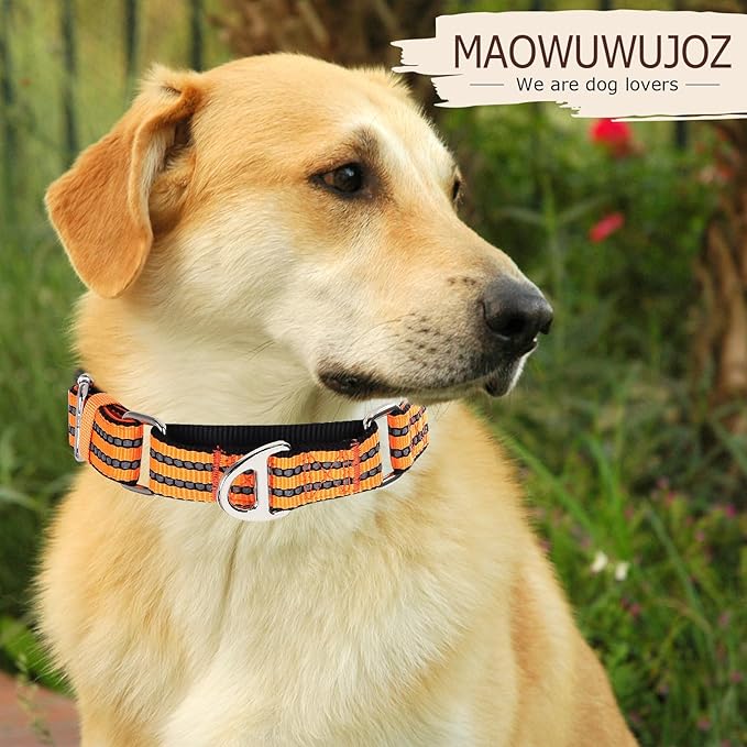 Martingale Collar for Dogs, Reflective Nylon No Pull Choke Collar with Padded Comfort, Metal D-Ring & No Buckle for Training, Walking & Overexcited Pulling Control-Orange M