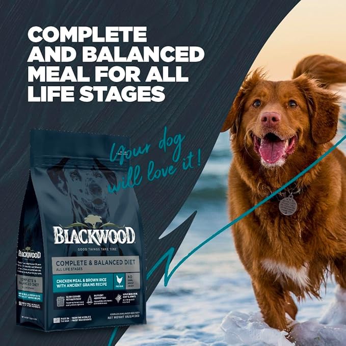 Blackwood Complete & Balanced Diet Dry Dog Food, Chicken Meal & Brown Rice with Ancient Grains, 24 Pound Bag, Slow Cooked with Vitamins & Minerals