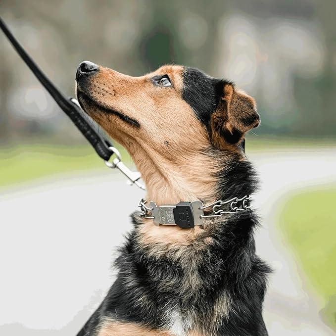 Herm Sprenger Dog Training Prong Collar with Quick Release Cliclock Buckle, 3 Extra Links, 30 Comfort Tips - Stainless Steel No-Pull Collar with Swivel Ring for Small Medium Dogs, Made in Germany