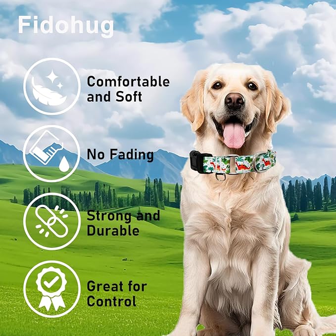 Martingale Dog Collars with Buckle No Pull Training Dog Collar for Medium Dogs (Green Dinosaur, Medium)