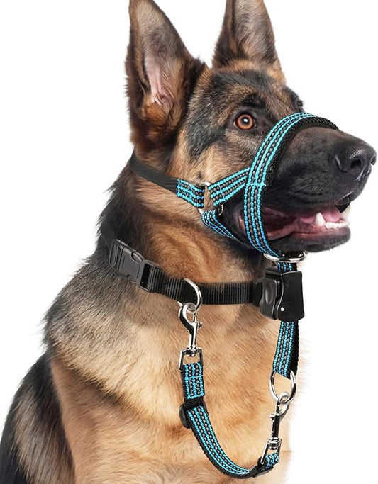 BARKLESS No Pull Dog Head Collar for Gentle Training Walking, Soft Padded Head Halter with Collar Safety Clip, Comfortable Fit Muzzle Leash with Reflective Strap for Medium Large Dog (Blue, M)