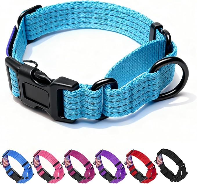 Martingale Collar for Dogs, Reflective Heavy Duty with Quick Release Nylon Buckle-USA Flag-No Pull Training Choker for Walking, Training, Sky Blue,M