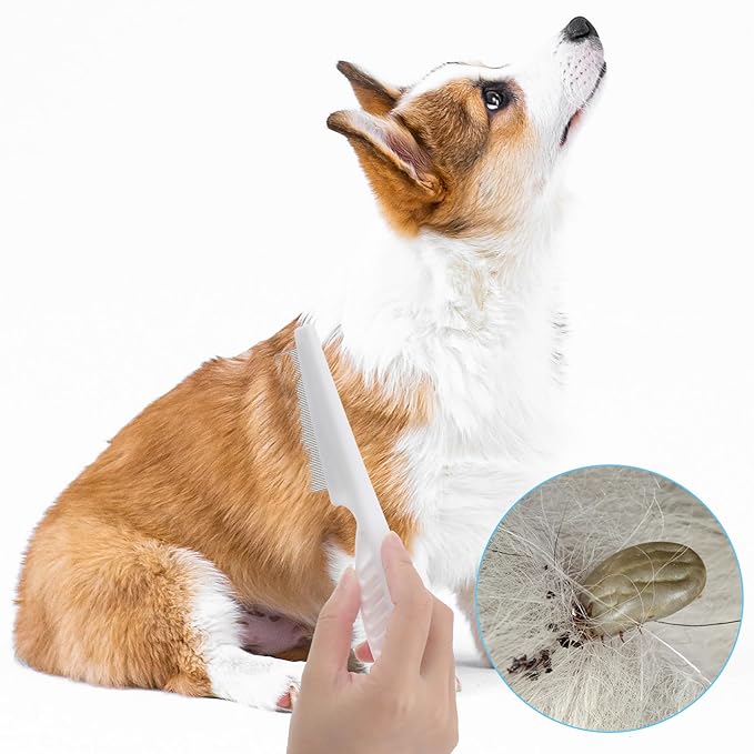 2 Pcs Flea Comb for Dogs and Cats, Stainless Steel Pet Grooming Combs Fine Tooth Dog Comb Pet Hair Removal Tool for Grooming Massaging and Cleaning (2 Sizes)